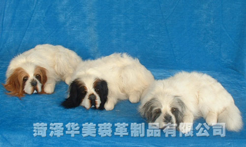 D206C,������ø���Ʒ���޹�˾רҵ����Ƥë������������