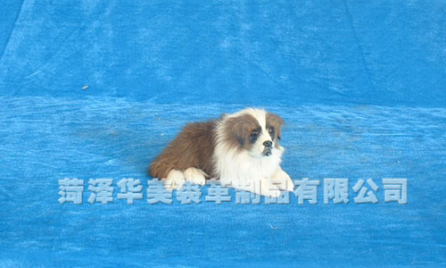 D231GY,������ø���Ʒ���޹�˾רҵ����Ƥë������������