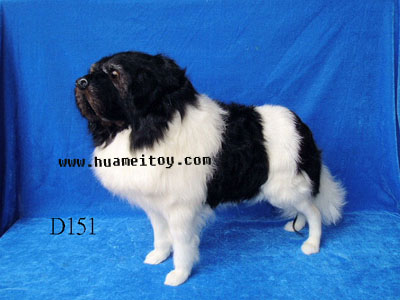 D151,������ø���Ʒ���޹�˾רҵ����Ƥë������������