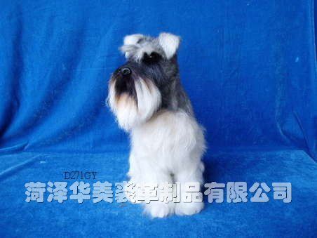 D271GY,������ø���Ʒ���޹�˾רҵ����Ƥë������������