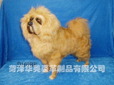 D169BR,������ø���Ʒ���޹�˾רҵ����Ƥë������������