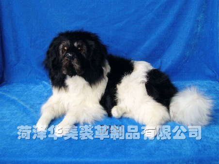 D152,������ø���Ʒ���޹�˾רҵ����Ƥë������������