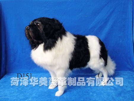 D151,������ø���Ʒ���޹�˾רҵ����Ƥë������������