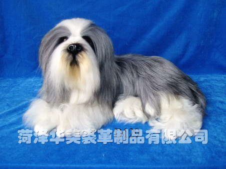 D129,������ø���Ʒ���޹�˾רҵ����Ƥë������������