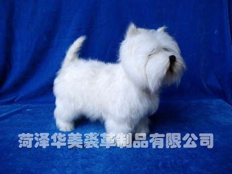 D273,������ø���Ʒ���޹�˾רҵ����Ƥë������������