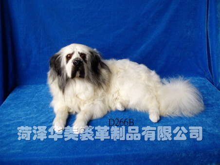 D266B,������ø���Ʒ���޹�˾רҵ����Ƥë������������