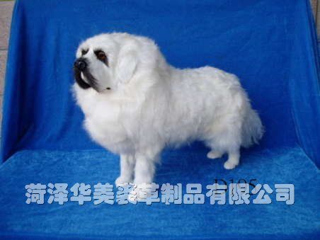 D195,������ø���Ʒ���޹�˾רҵ����Ƥë������������