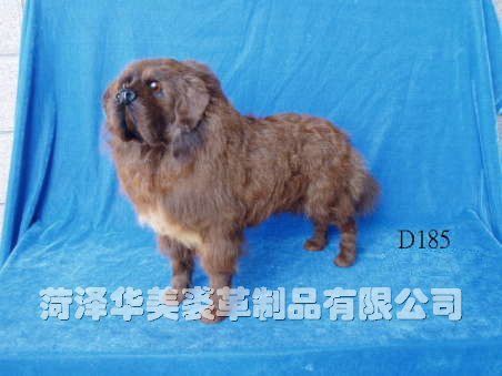 D185,������ø���Ʒ���޹�˾רҵ����Ƥë������������