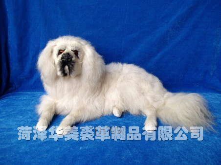 D170W,������ø���Ʒ���޹�˾רҵ����Ƥë������������