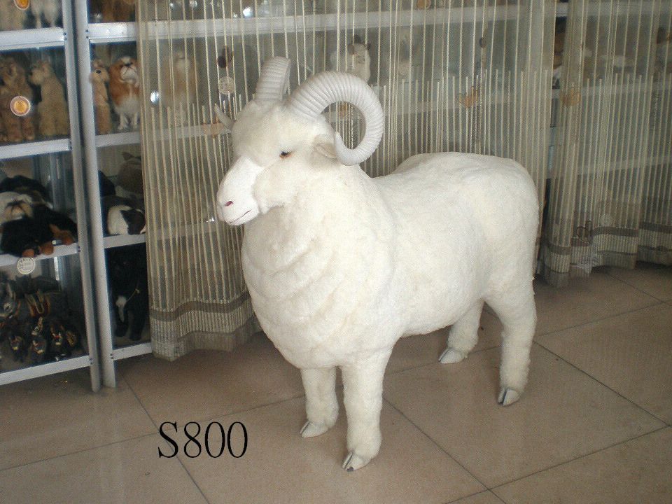 S800,øƷ޹˾רҵƤë