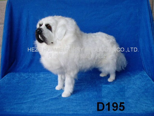 P101022,������ø���Ʒ���޹�˾רҵ����Ƥë������������