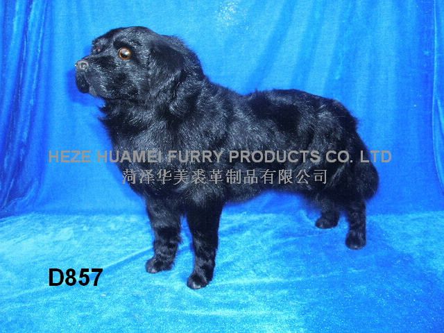 P1010402,������ø���Ʒ���޹�˾רҵ����Ƥë������������