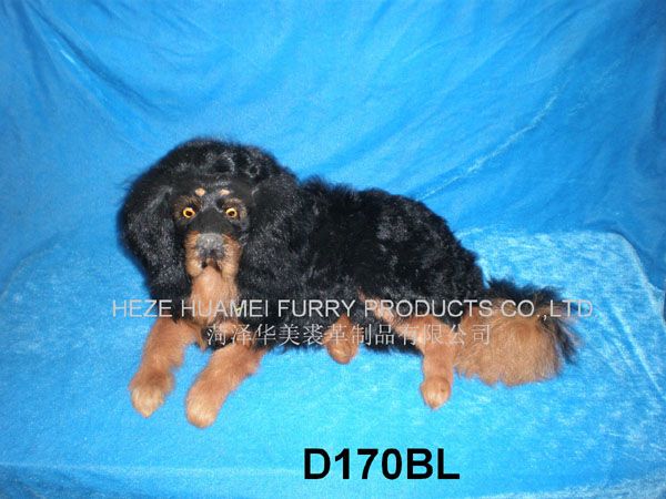 P4100667,������ø���Ʒ���޹�˾רҵ����Ƥë������������